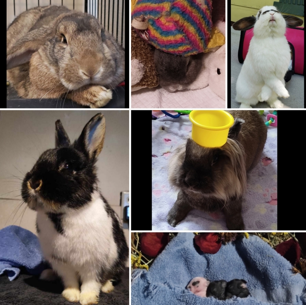 Meet your Posher, Whitney